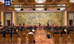 龙族漫画免费,探寻神秘血脉，揭开千年之谜